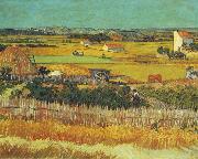 Vincent Van Gogh The Harvest, Arles France oil painting artist